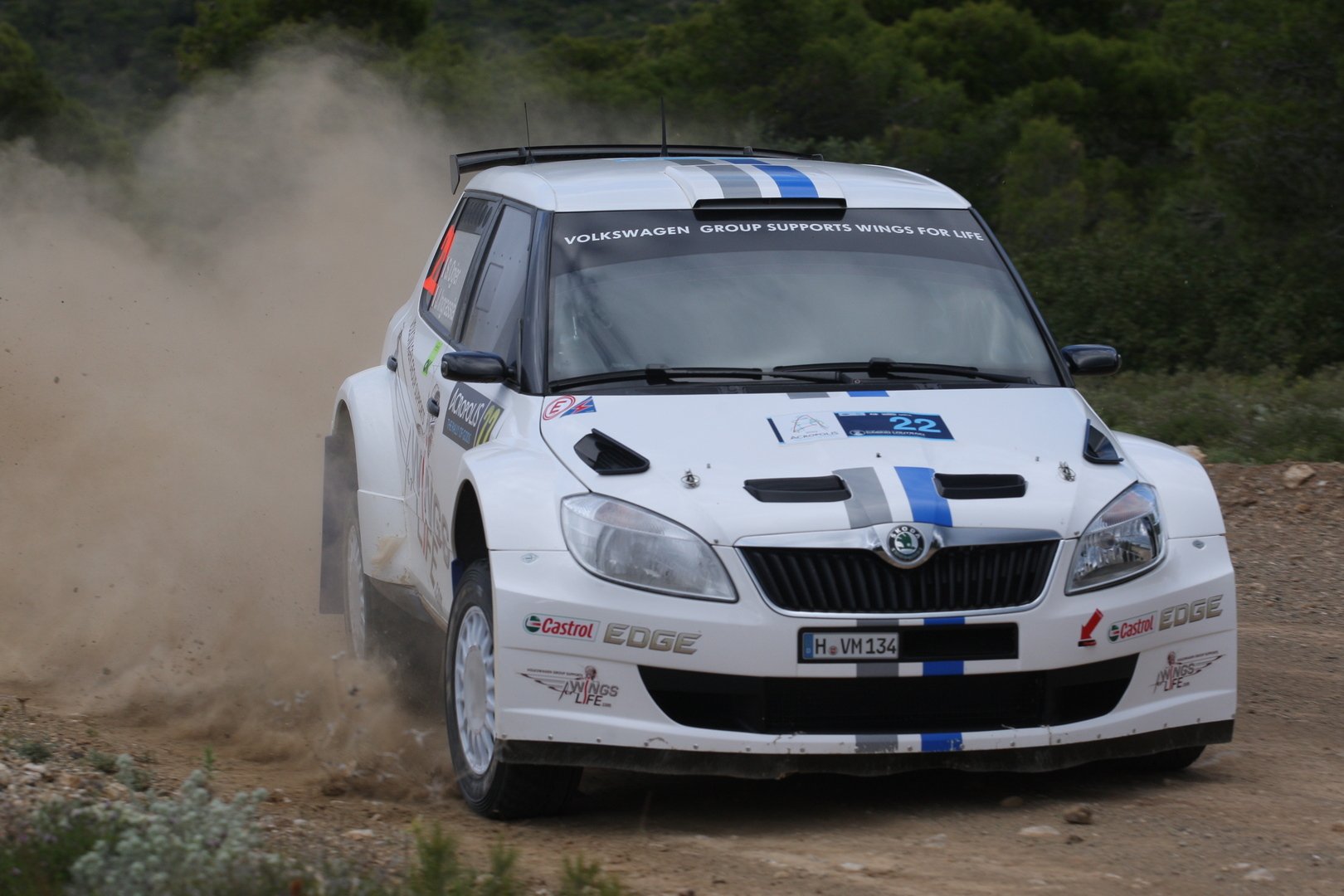 Ogier - Fabia