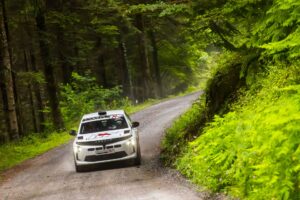 New Lancia Ypsilon Rally 4 HF