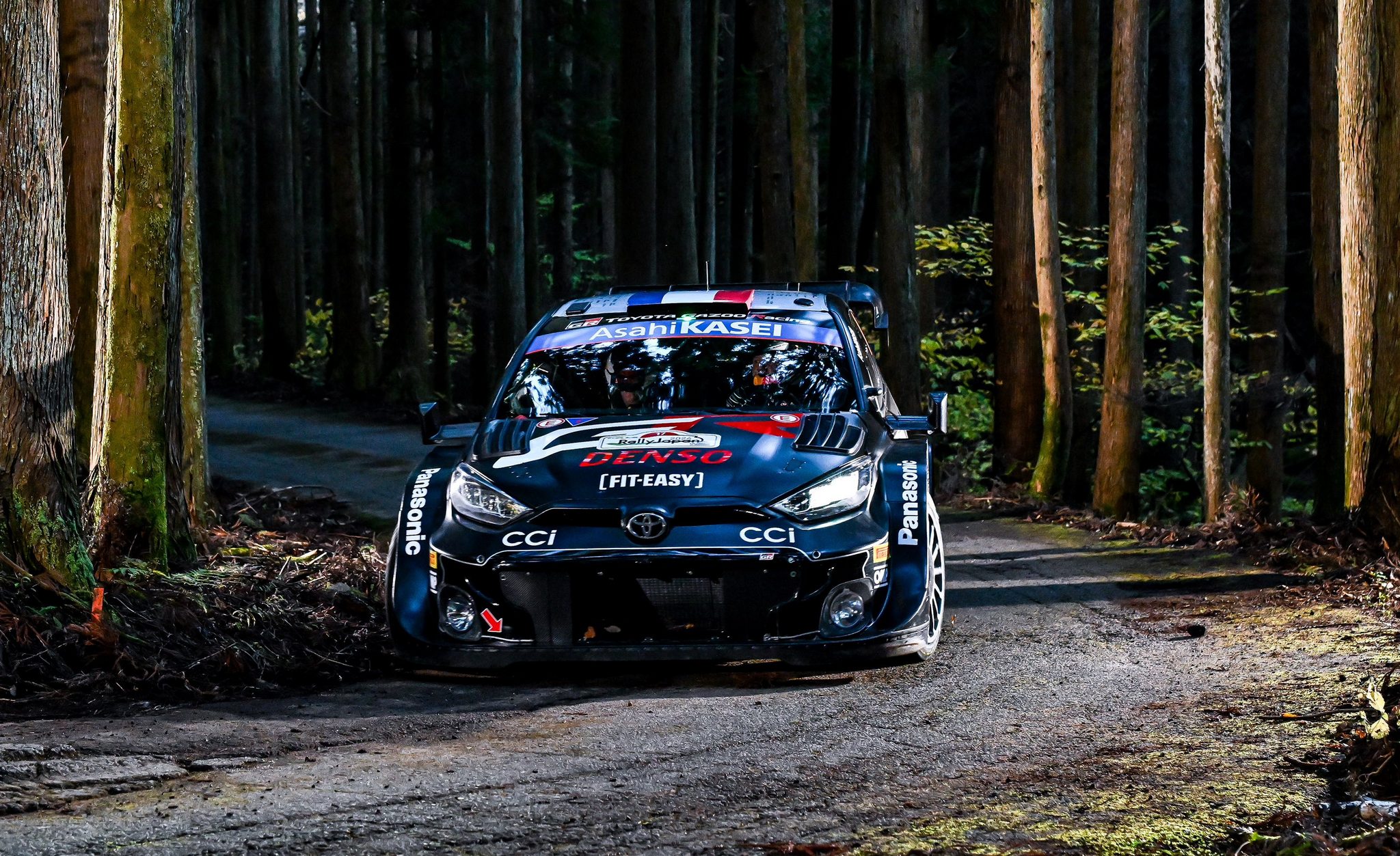 WRC - Sebastien Ogier - Japan