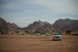 TOYOTA LAND CRUISER DAKAR 2025