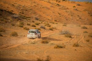 TOYOTA LAND CRUISER DAKAR 2025