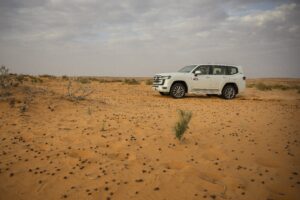 TOYOTA LAND CRUISER DAKAR 2025